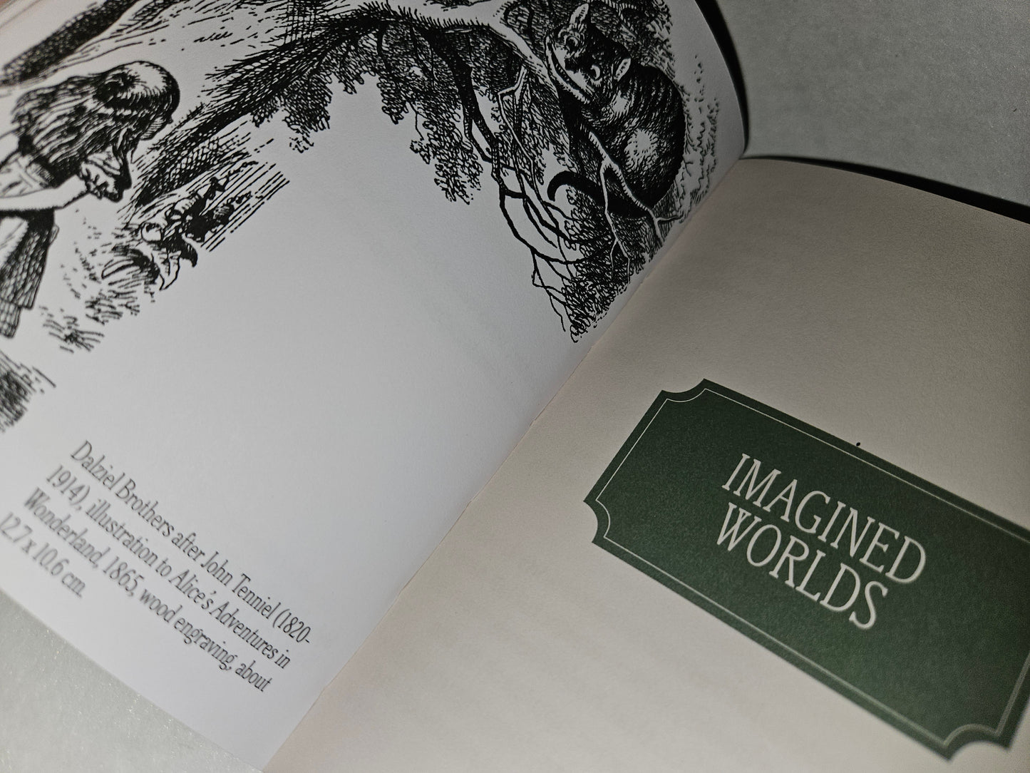 Open book with illustrations and 'Imagined Worlds'