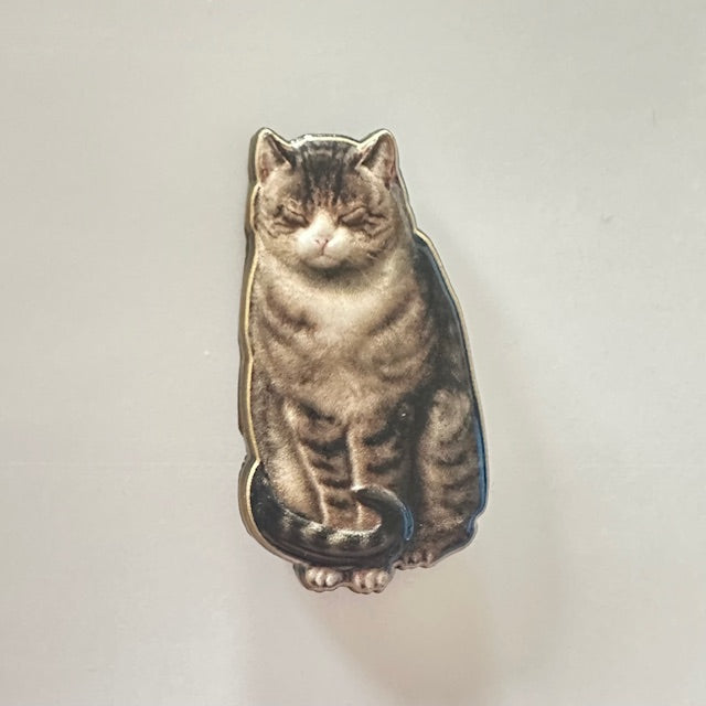 Pin Badge: Blinking in the Sun