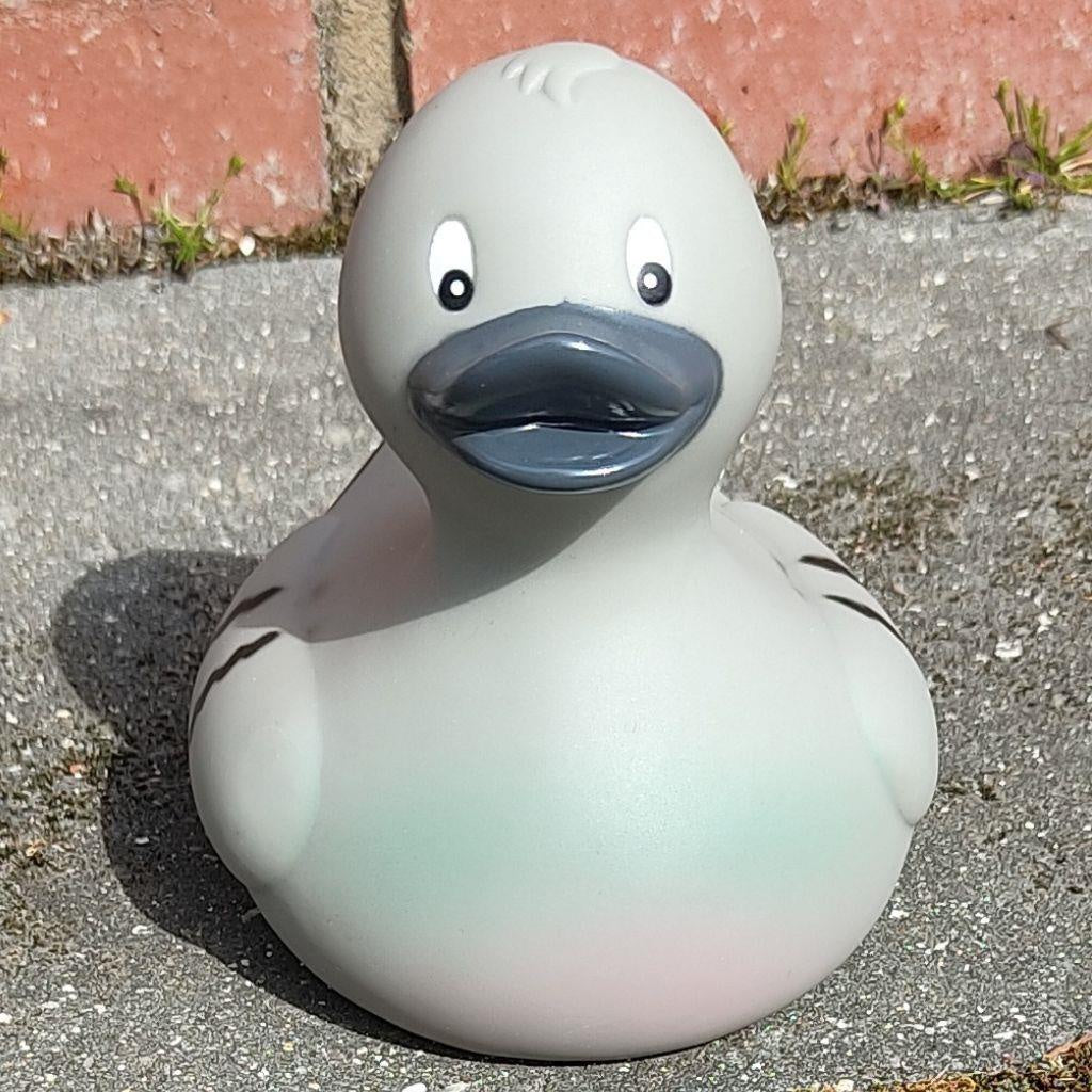 Pigeon Rubber Duck