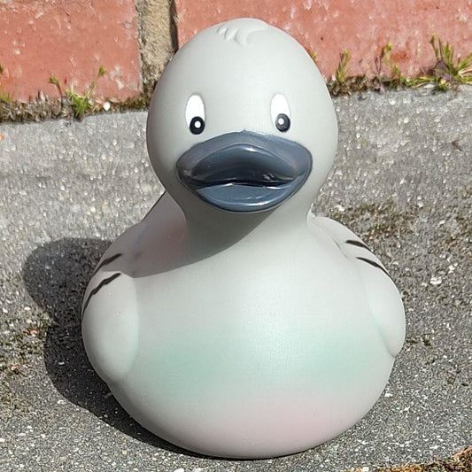 Pigeon Rubber Duck