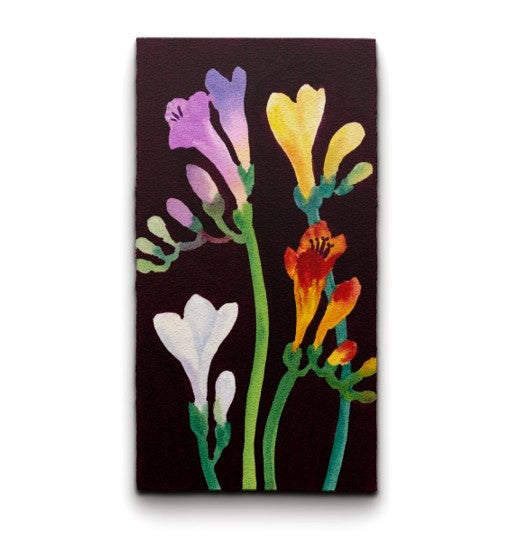 Colorful floral painting of Freesias on a black background