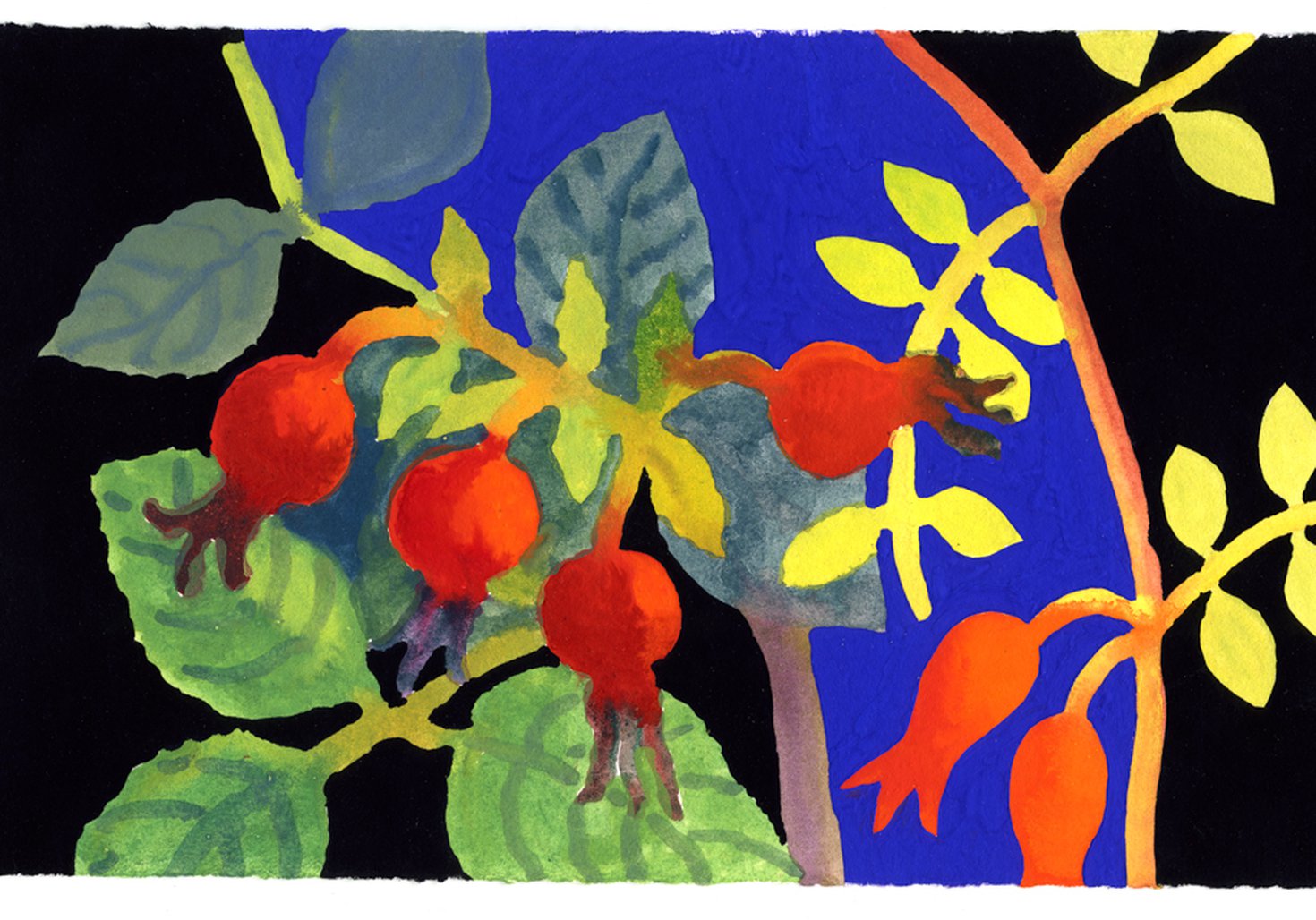 Bright Rose hips and leaves on a blue and black background